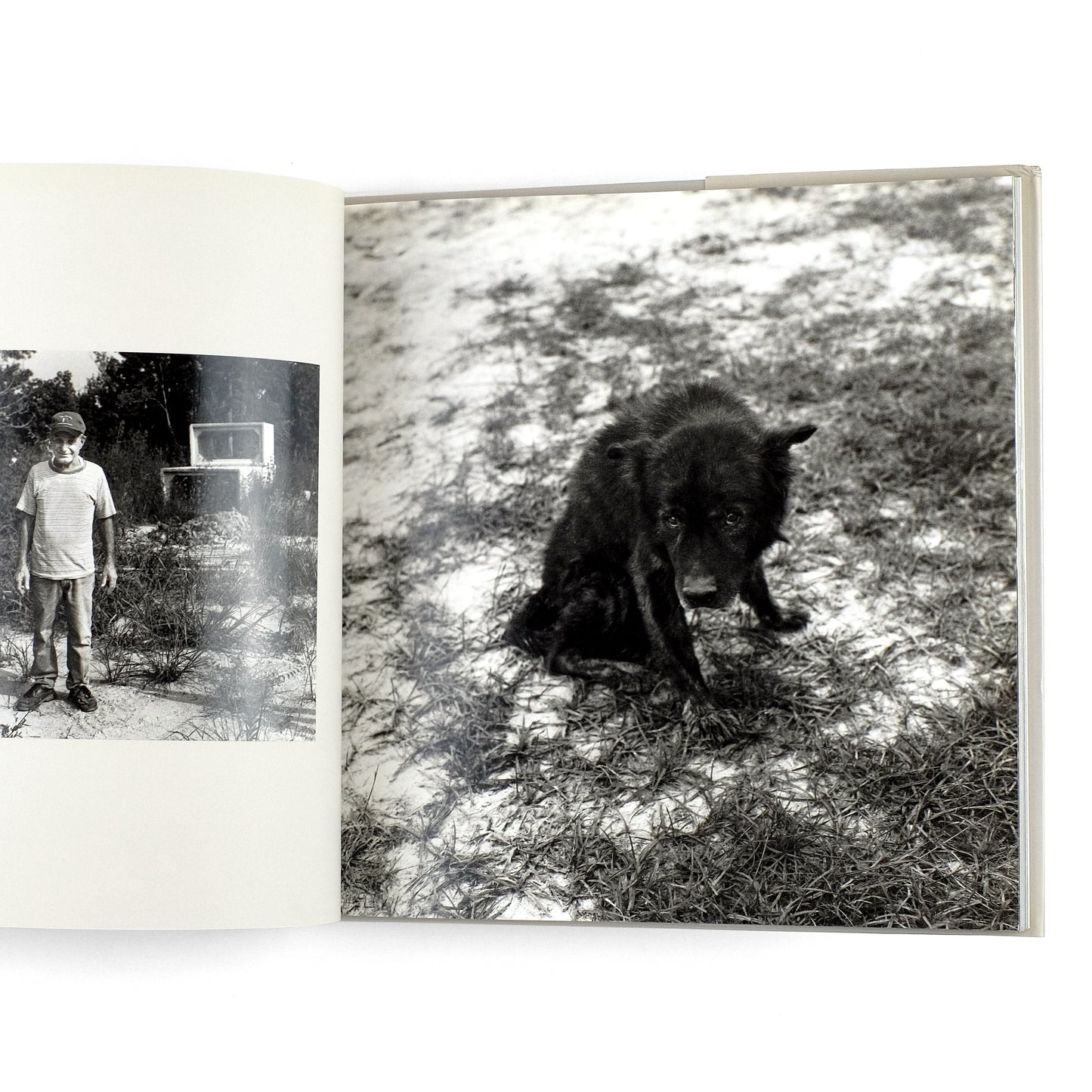 ANDERSON, Dave; Anne Wilkes Tucker, intro.