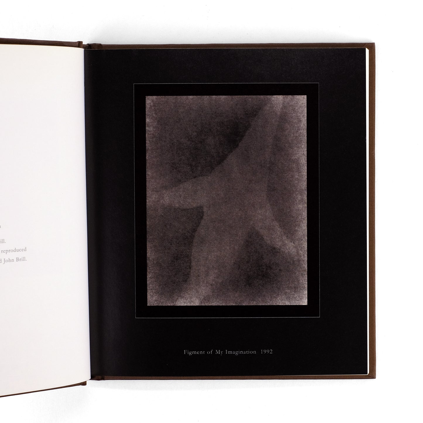 BRILL, John; Leah Ollman, text