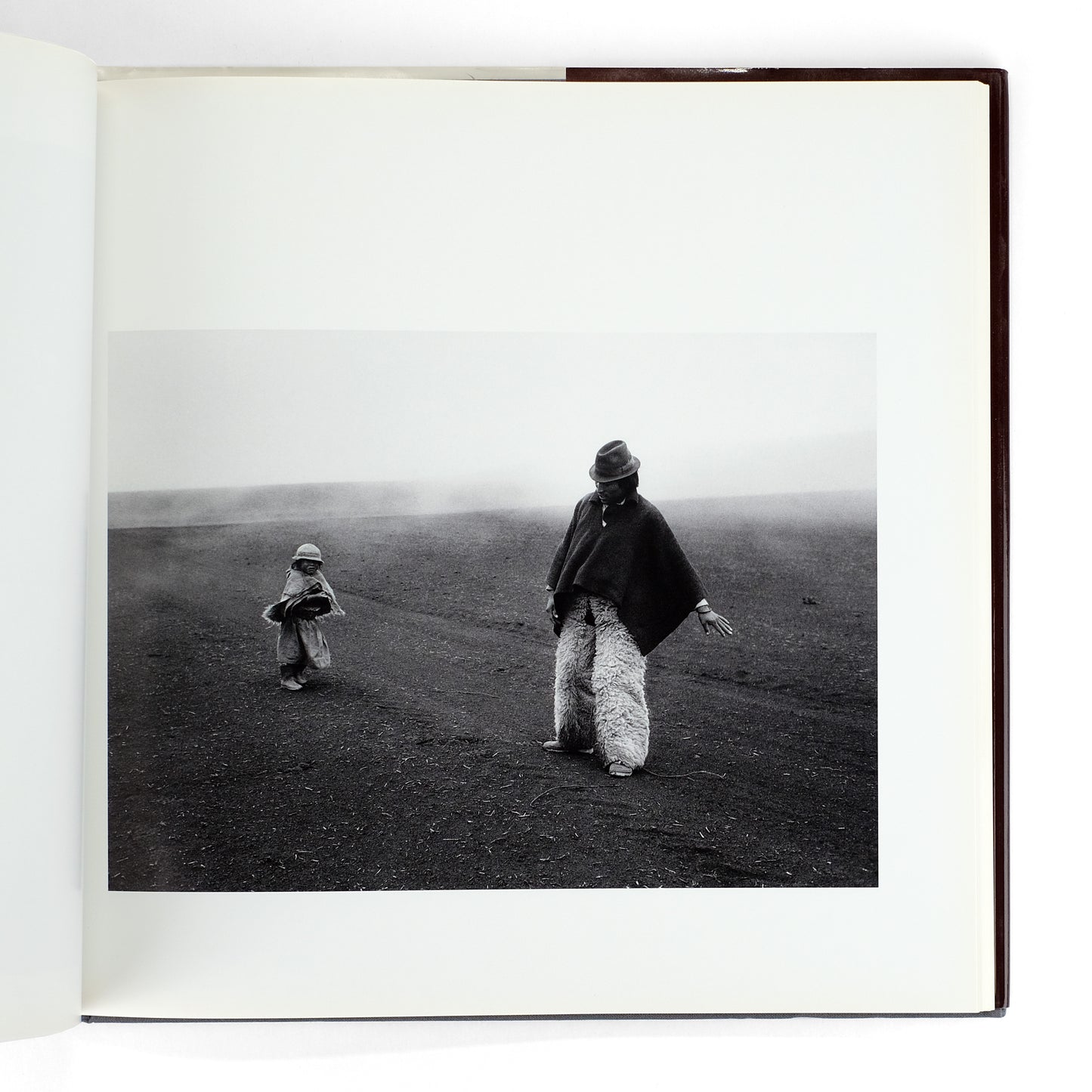 GARDUÑO, Flor; Carlos Fuentes, intro.