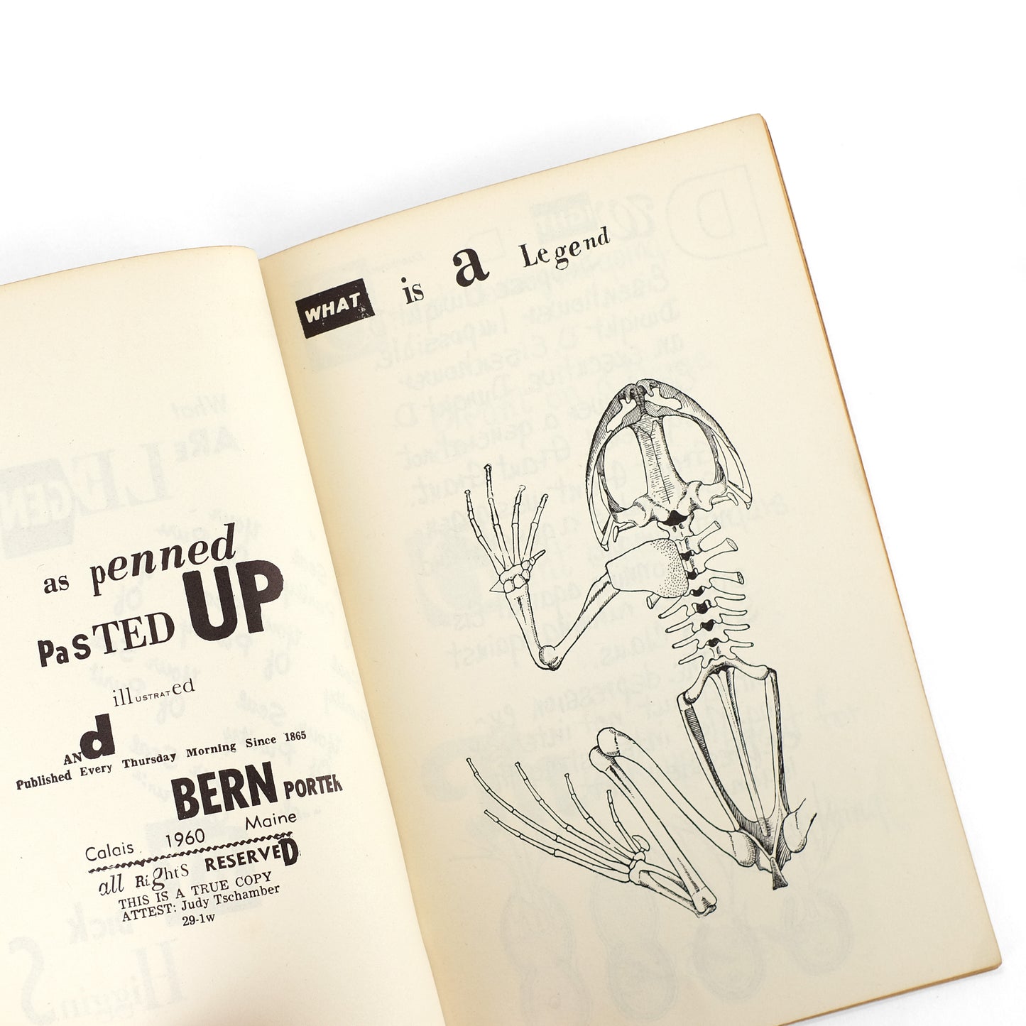 HIGGINS, Dick; Bern Porter, illus.