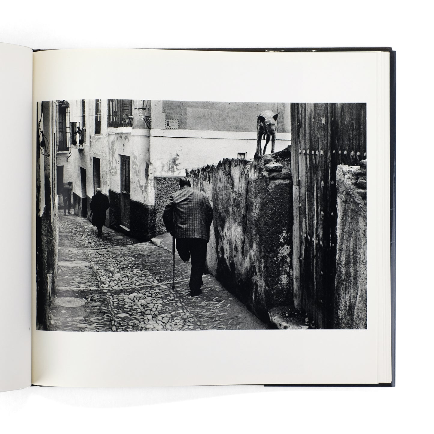 KOUDELKA, Josef; Czeslaw Milosz, essay