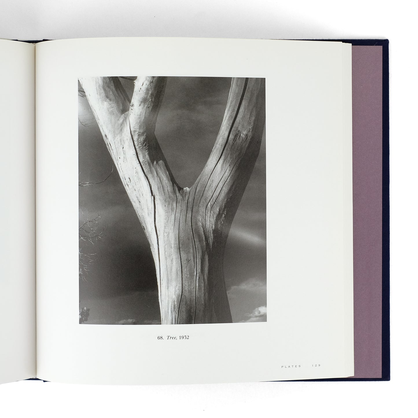 LORENZ, Richard; Imogen Cunningham
