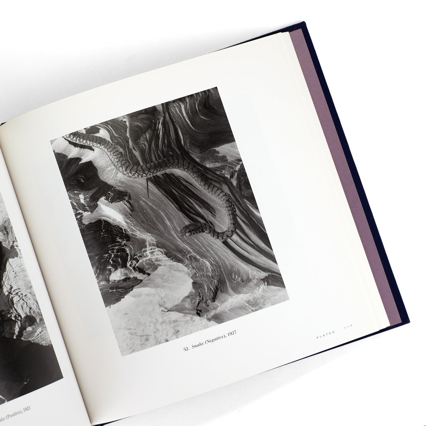 LORENZ, Richard; Imogen Cunningham