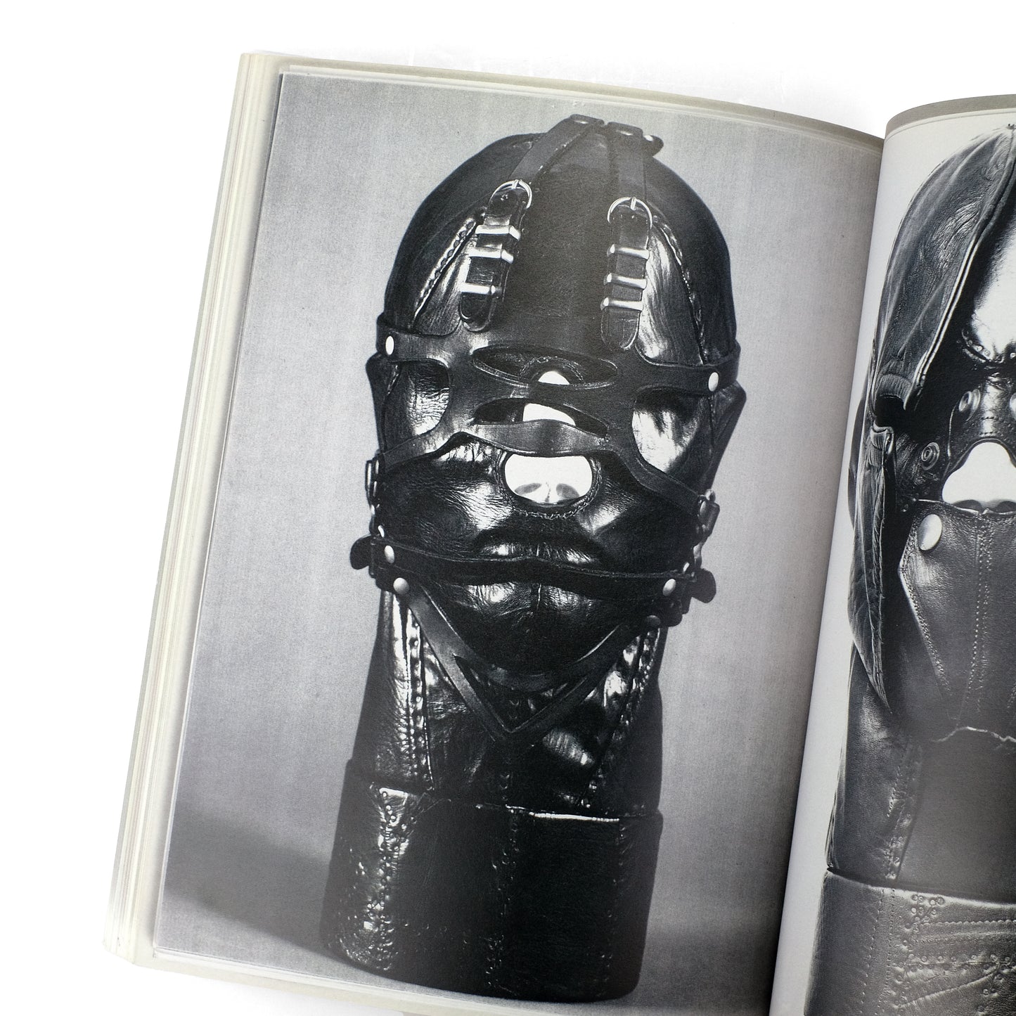 WAHLER, Marc-Olivier, ed.; Ugo Rondinone, curator
