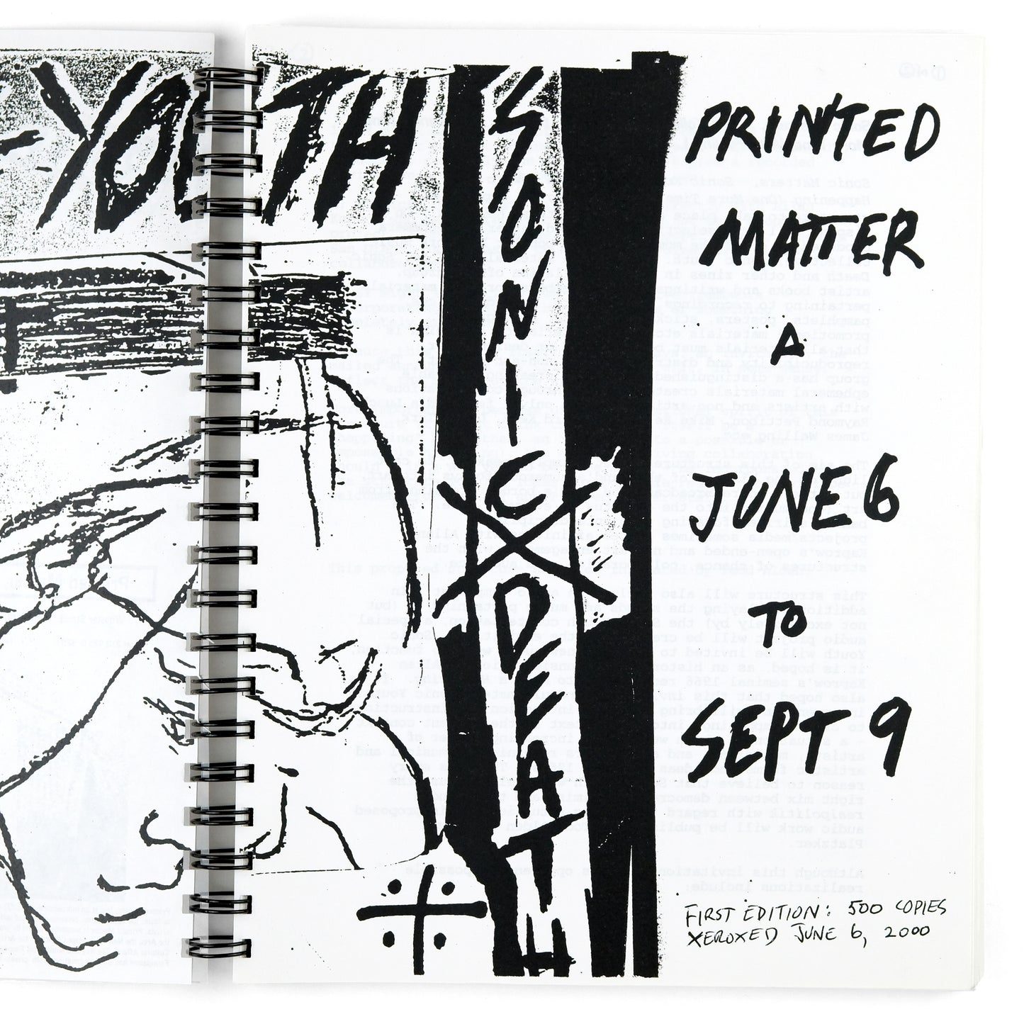 SONIC YOUTH; Todd Alden, organizer