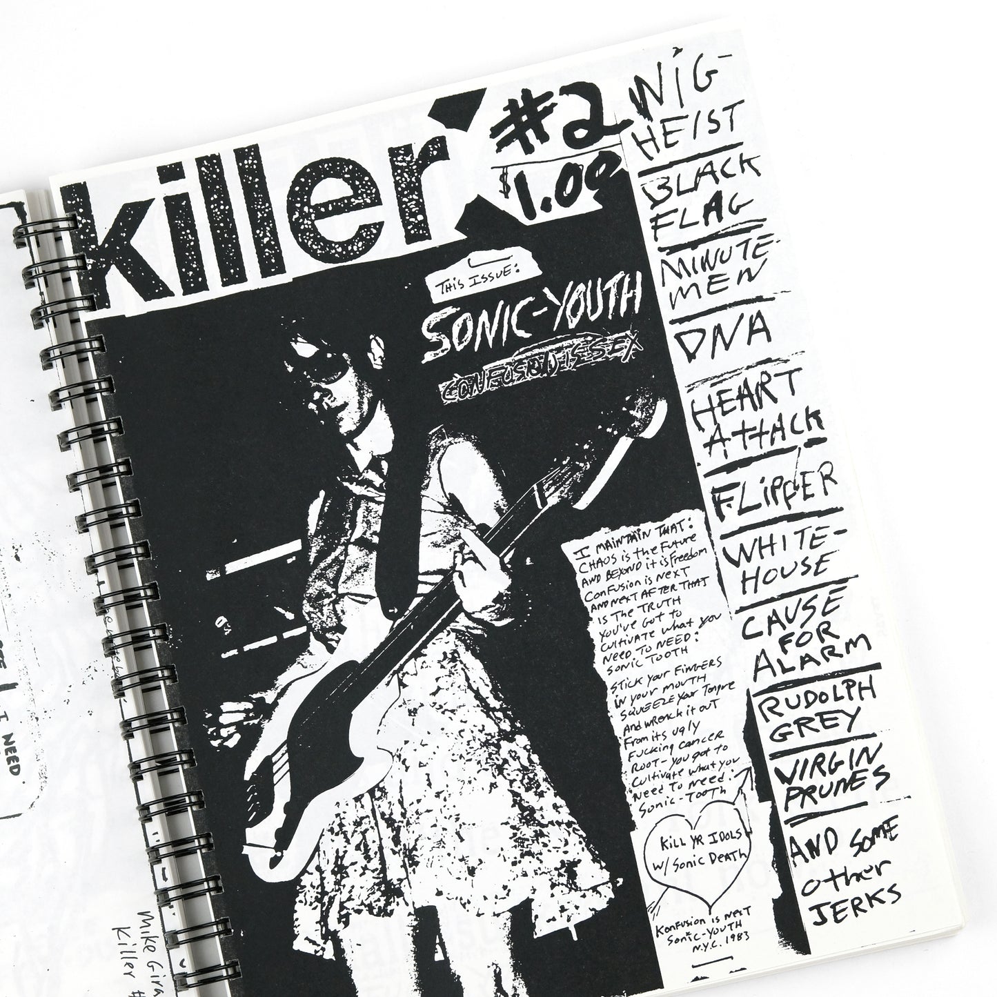 SONIC YOUTH; Todd Alden, organizer