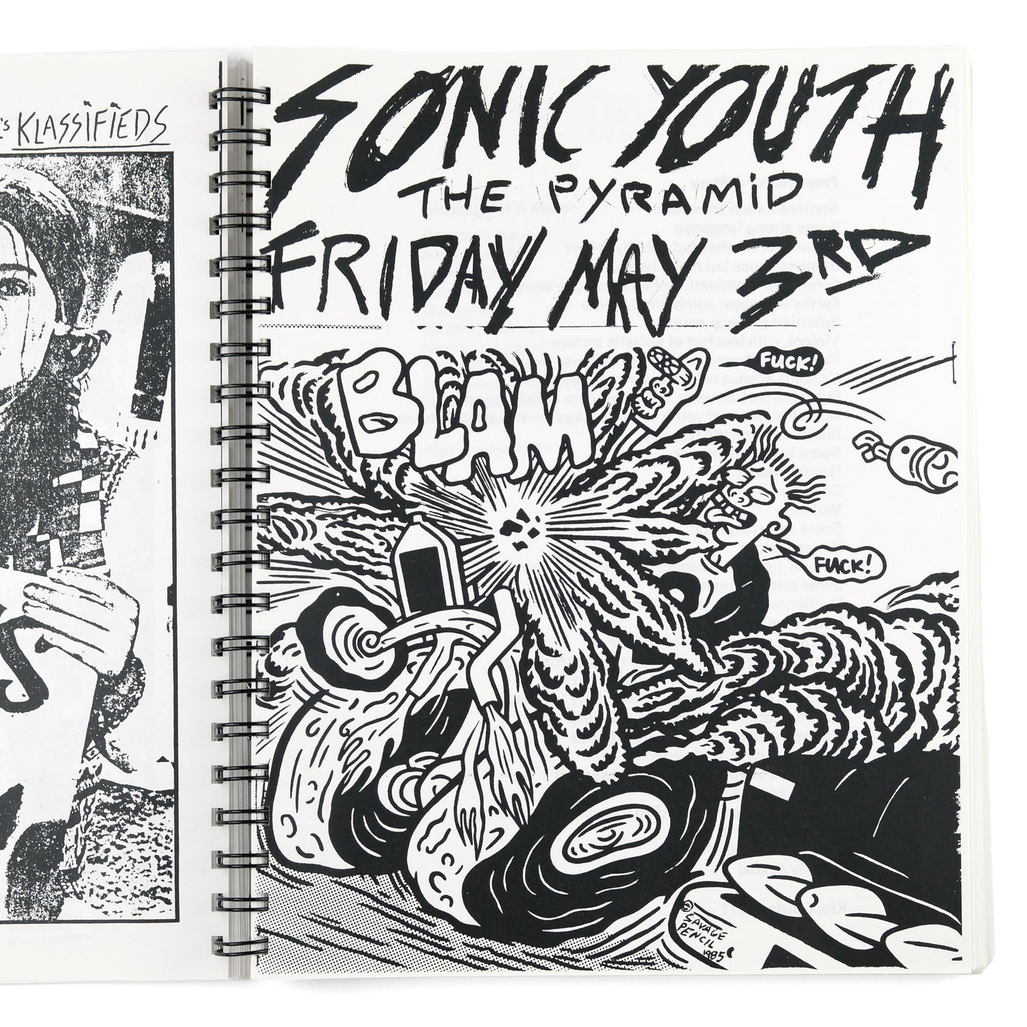 SONIC YOUTH; Todd Alden, organizer