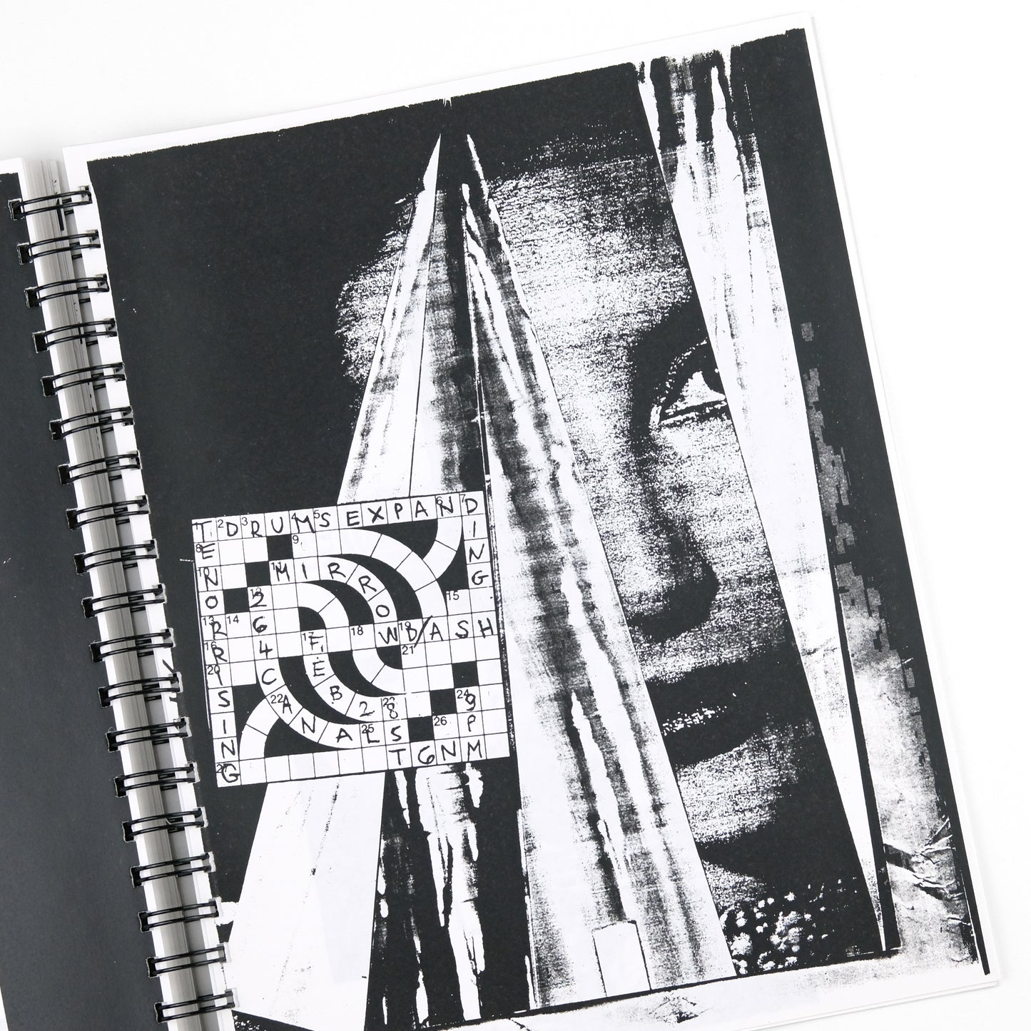 SONIC YOUTH; Todd Alden, organizer