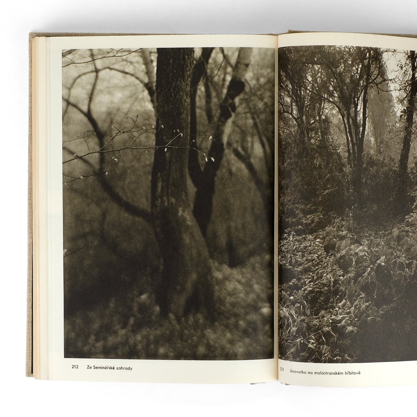 SUDEK, Josef; Lubomir Linhart, essay