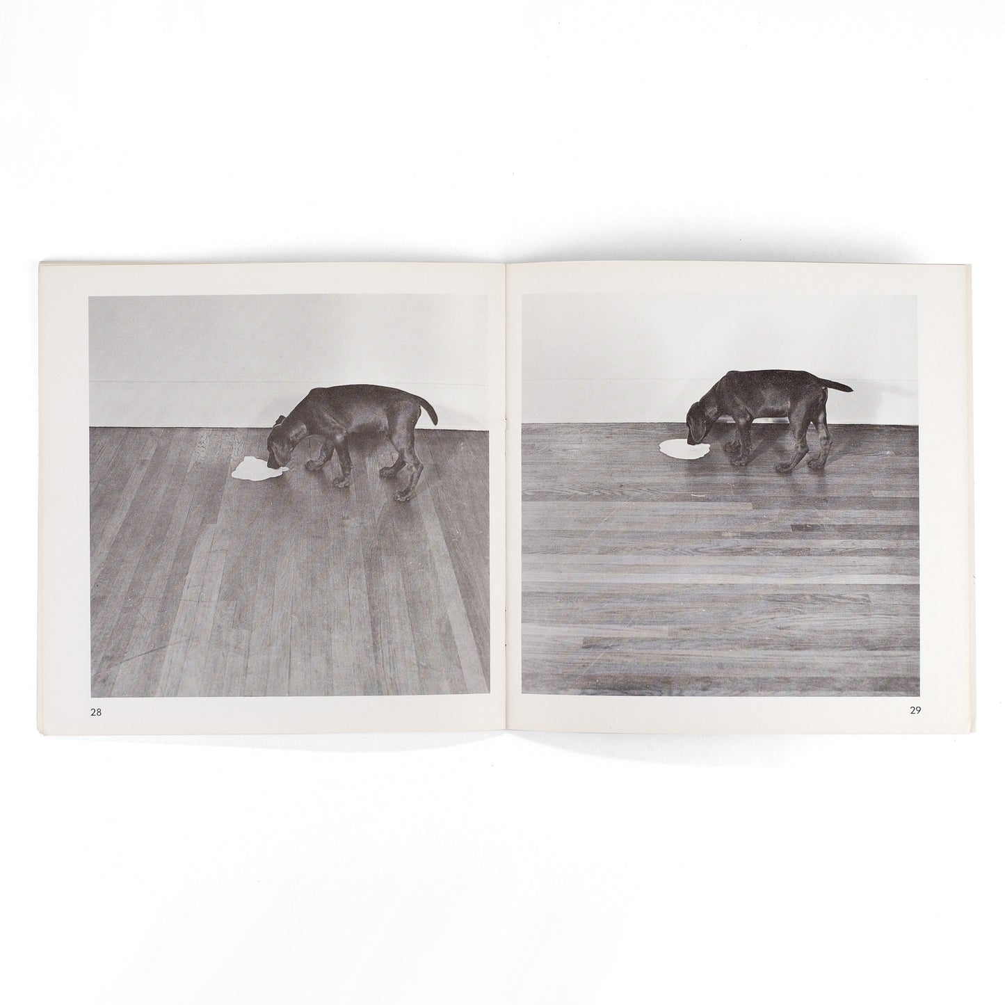 WEGMAN, William; Helene Winer, intro.