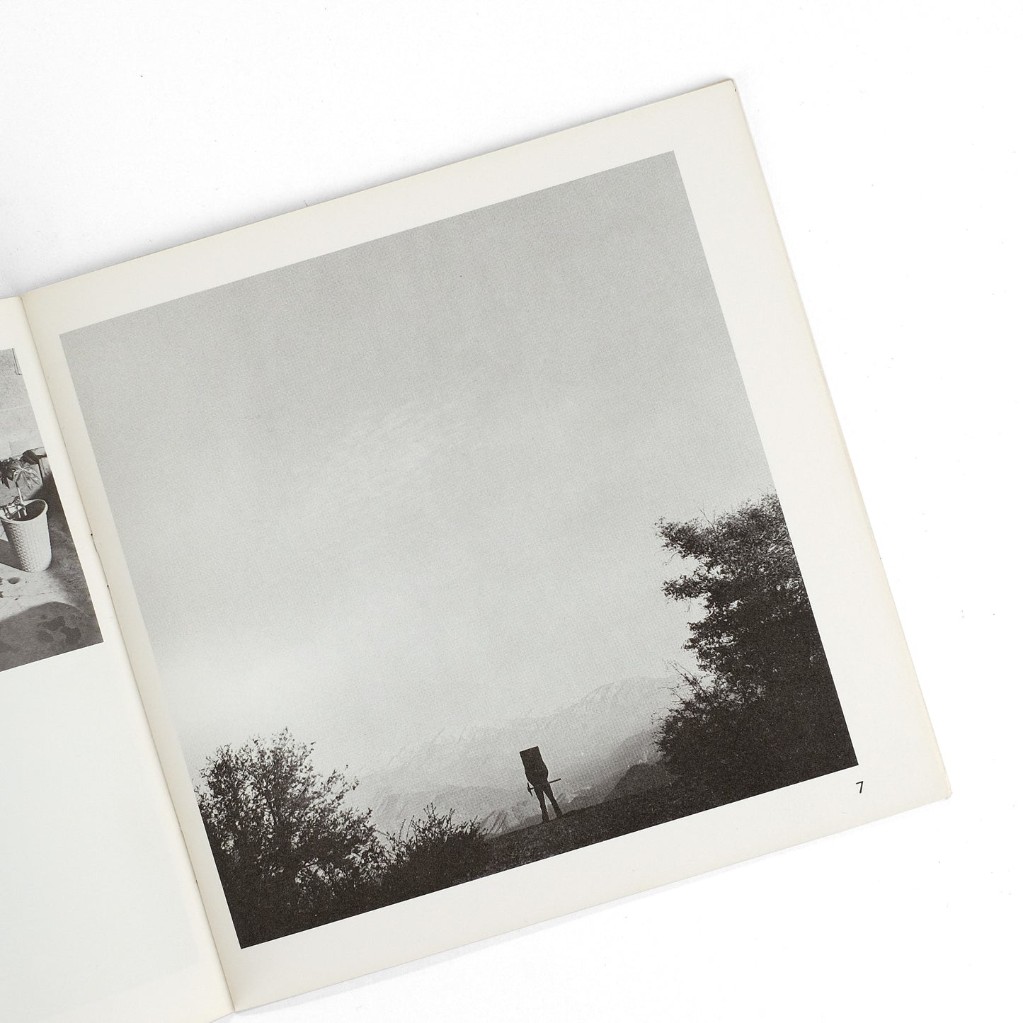 WEGMAN, William; Helene Winer, intro.