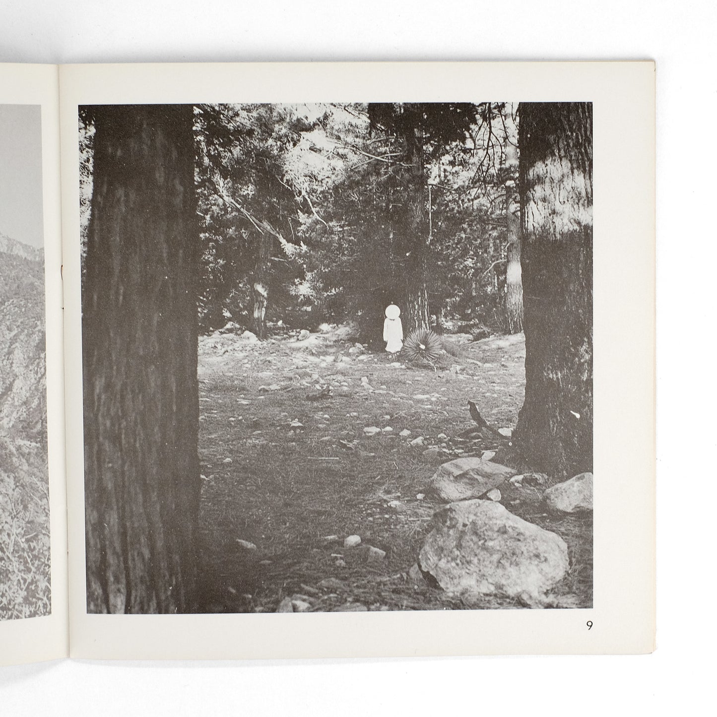 WEGMAN, William; Helene Winer, intro.