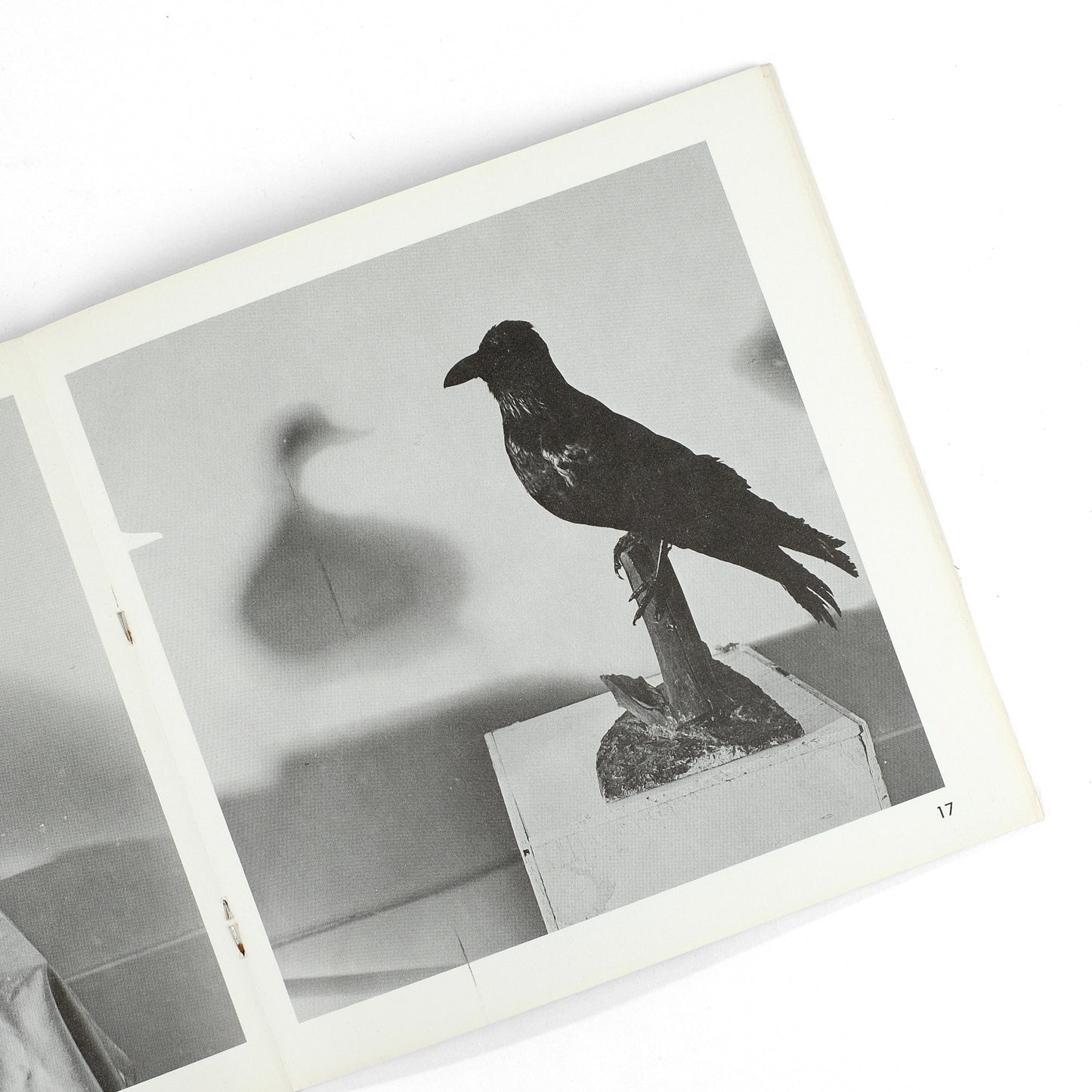 WEGMAN, William; Helene Winer, intro.