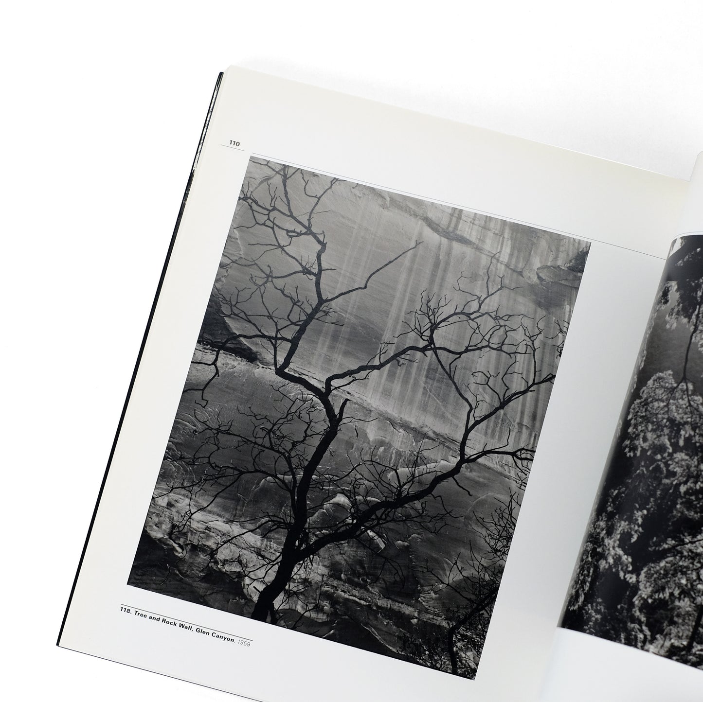 WESTON, Brett; Stephen Bennett Phillips, ed.