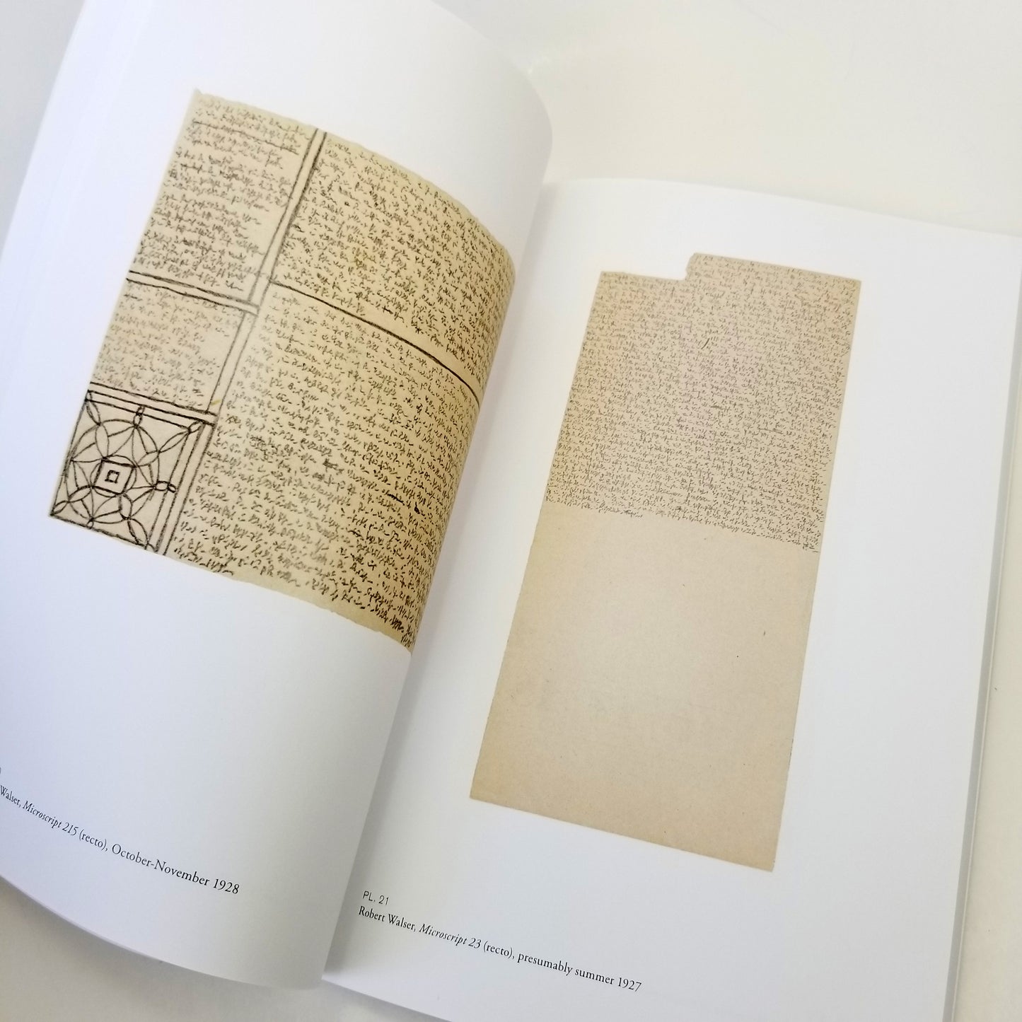Dickinson, Emily and Robert Walser; Claire Gilman, foreword; Josiah McElheny, essay