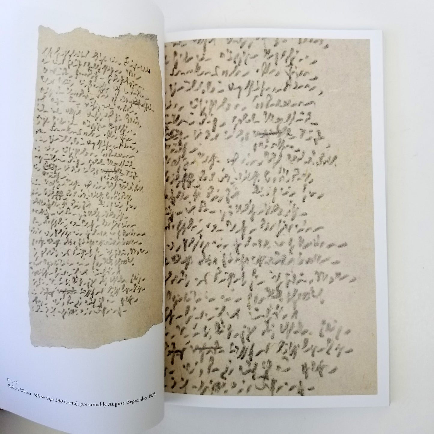 Dickinson, Emily and Robert Walser; Claire Gilman, foreword; Josiah McElheny, essay