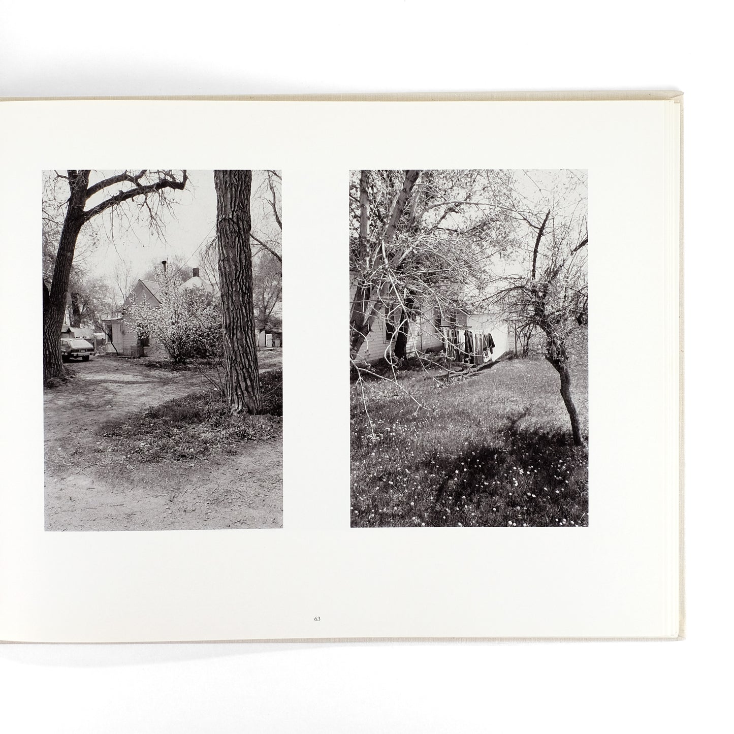 ADAMS, Robert; William Stafford, poems