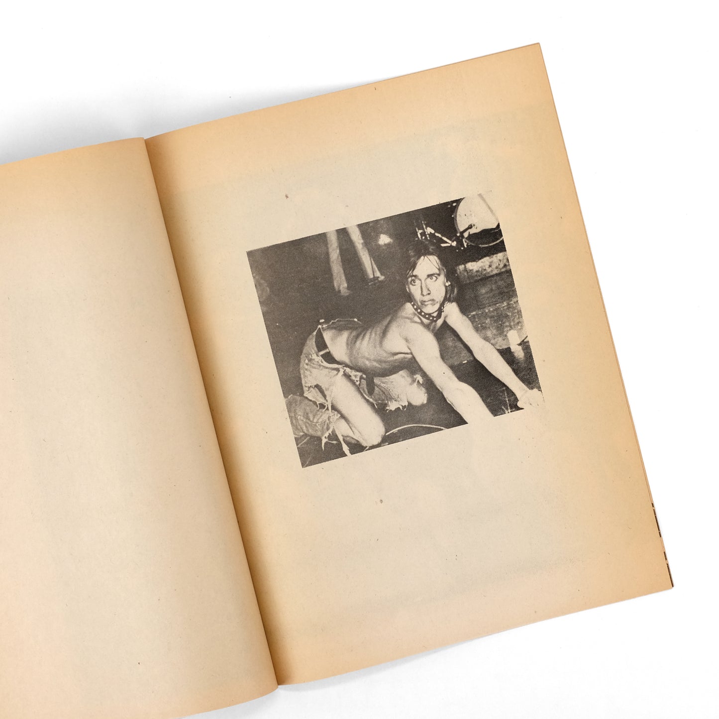 SUICIDE, Alan [Alan Vega], guest ed.