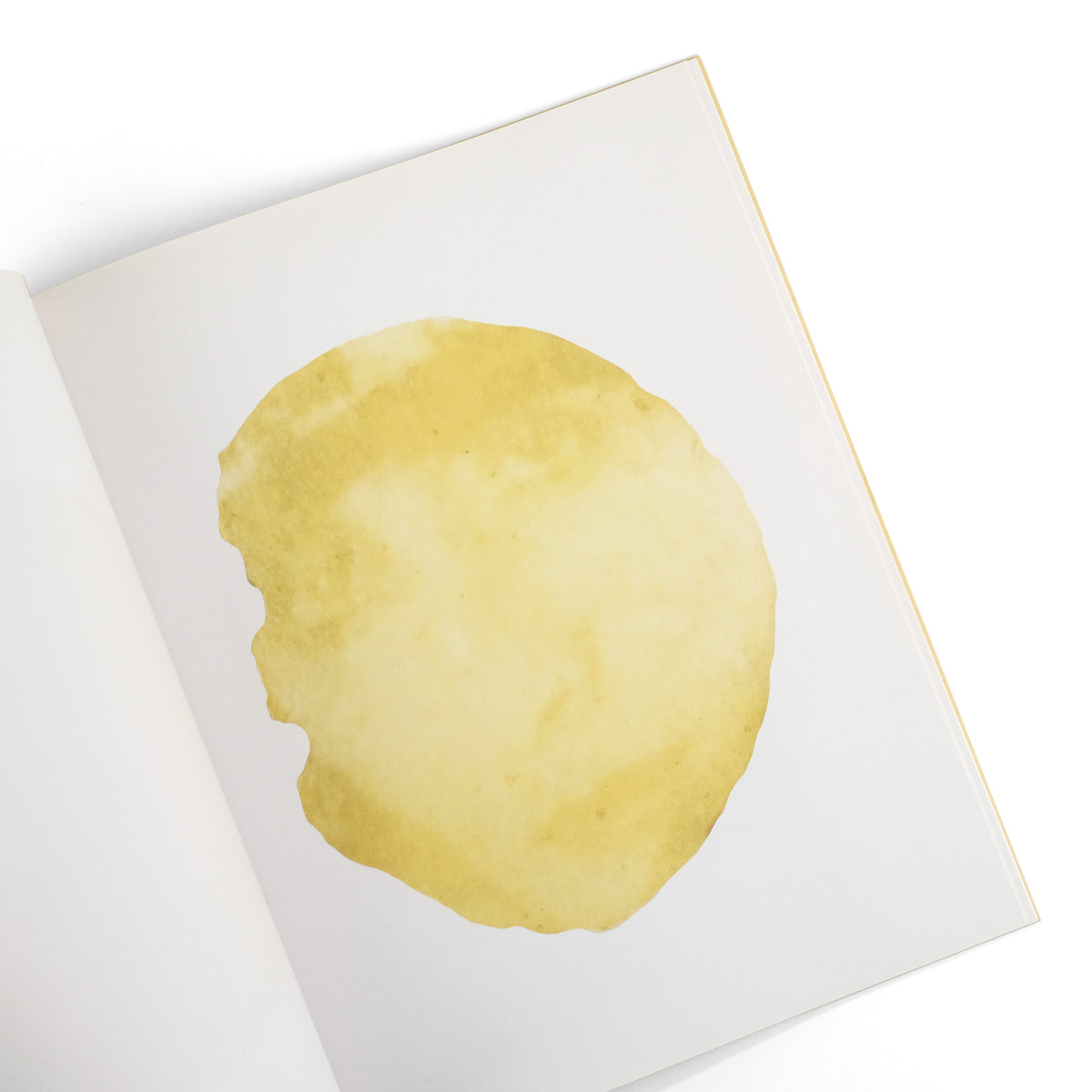 BALDESSARI, John
