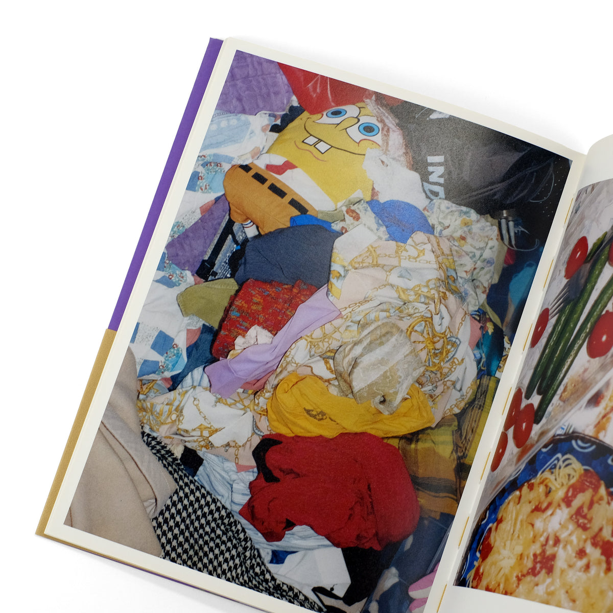 DAIFU, Motoyuki, photography; Michel Houllebecq, poems