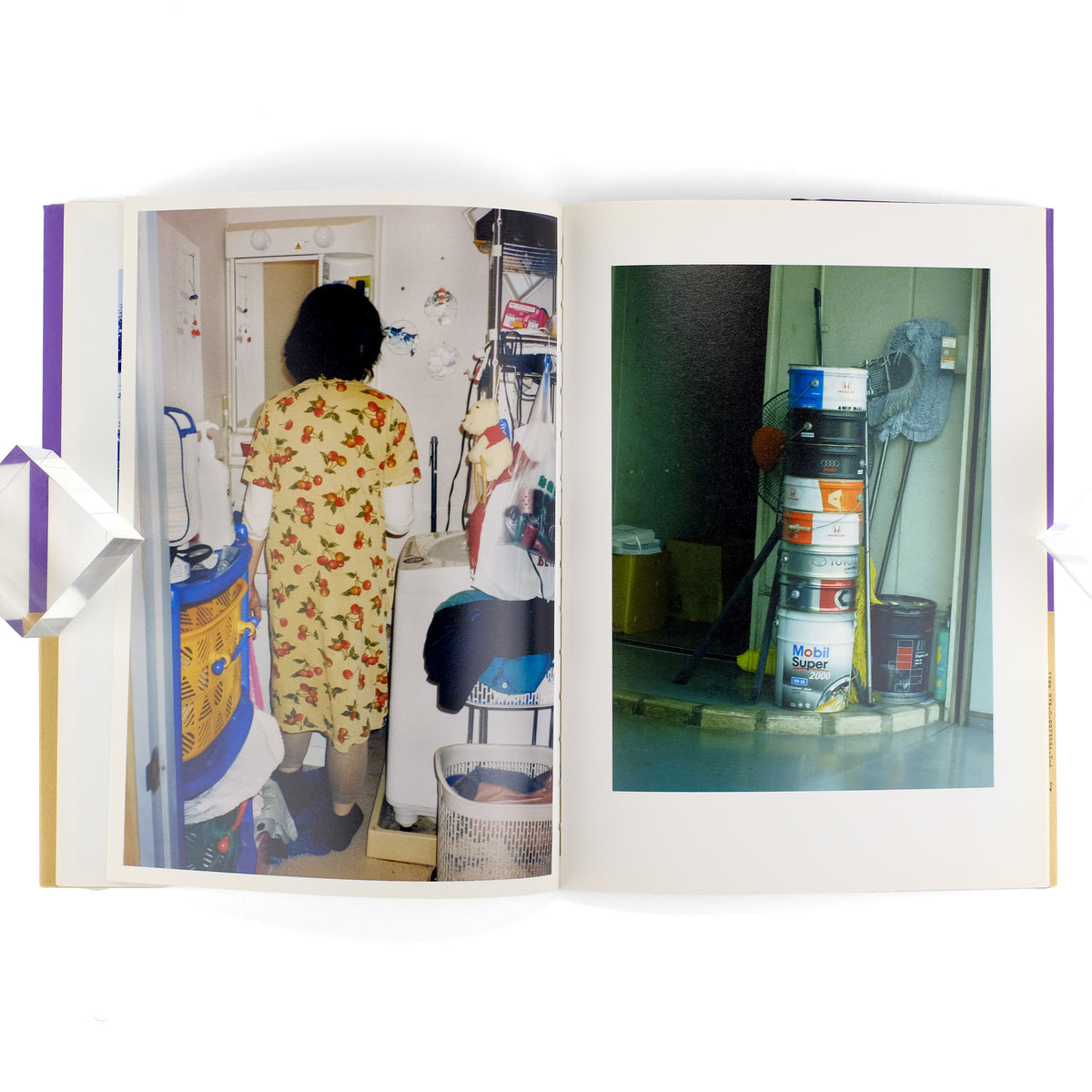 DAIFU, Motoyuki, photography; Michel Houllebecq, poems