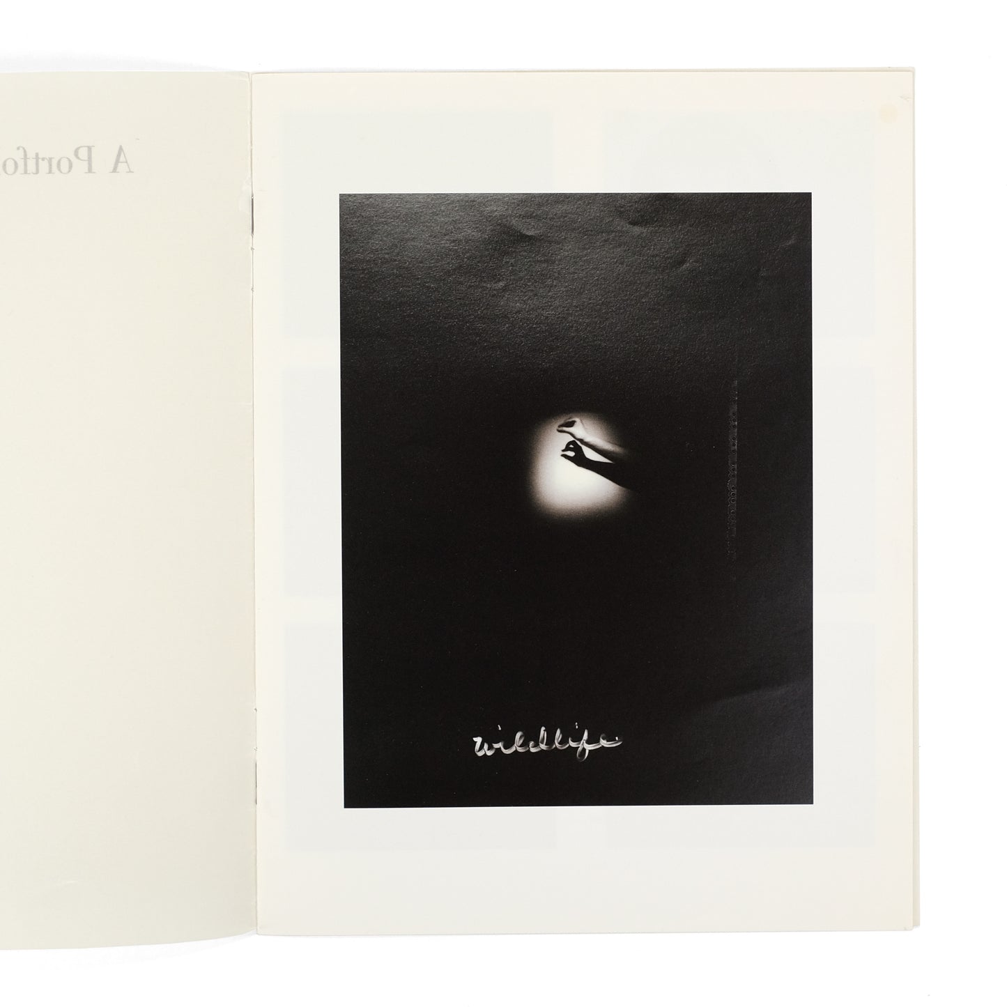 ESS, Barbara; Lynne Tillman, text