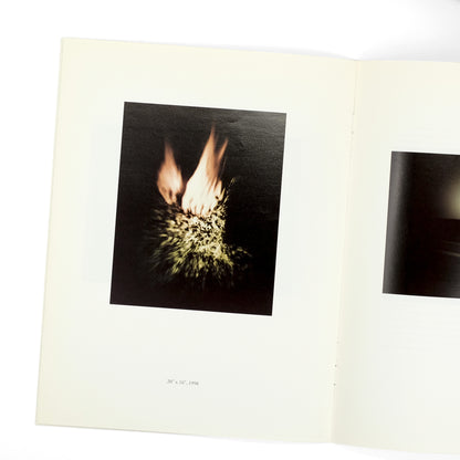 ESS, Barbara; Lynne Tillman, text