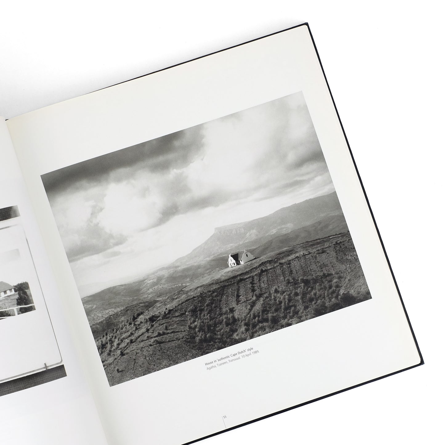 GOLDBLATT, David; Neville Dubow, essay