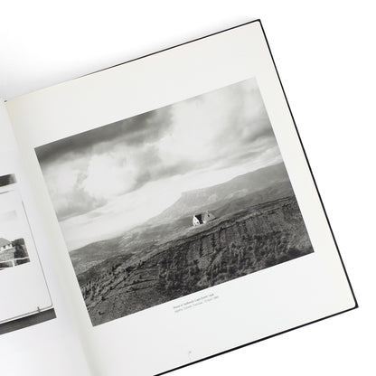 GOLDBLATT, David; Neville Dubow, essay