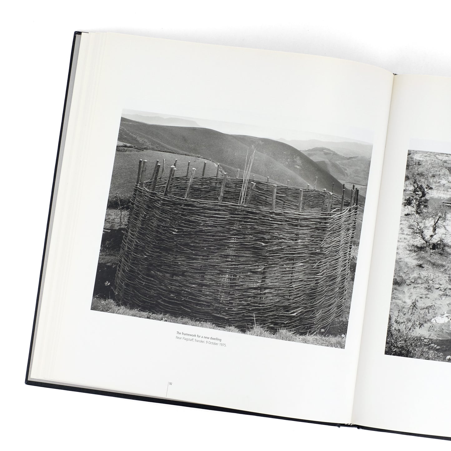 GOLDBLATT, David; Neville Dubow, essay