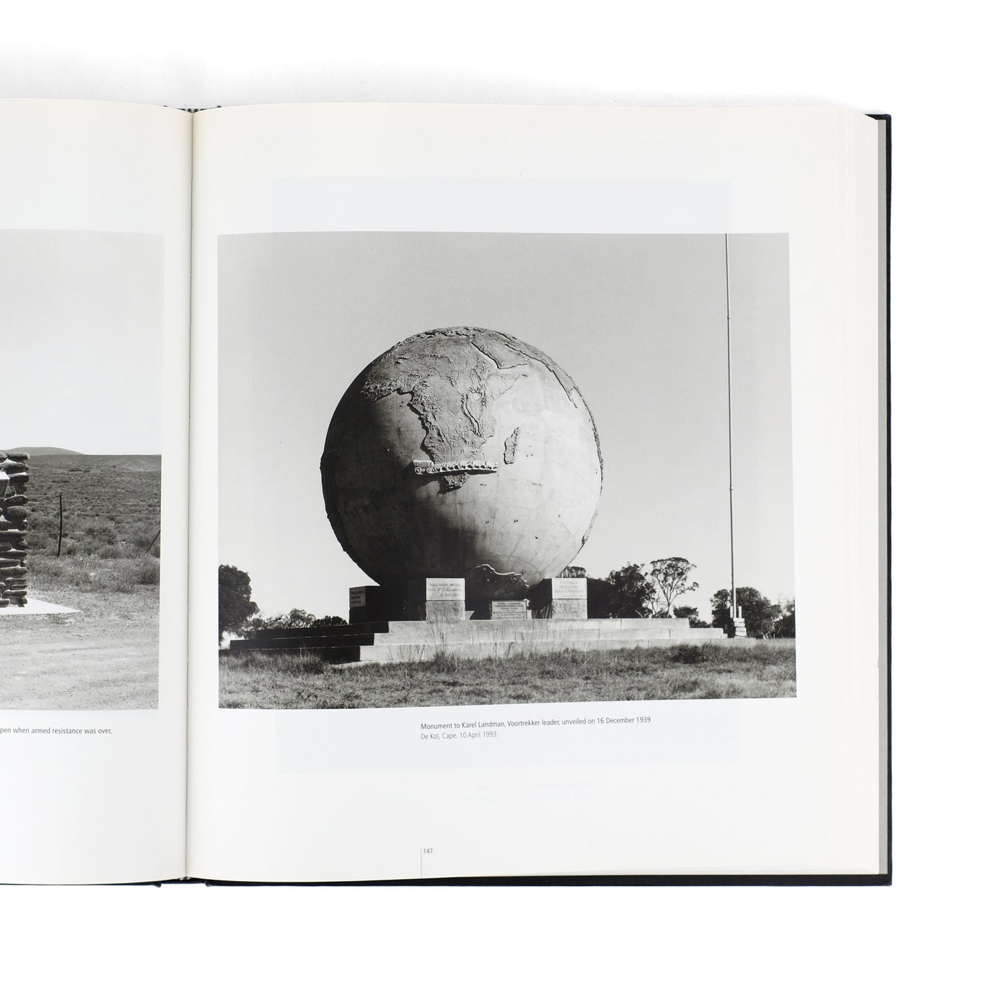 GOLDBLATT, David; Neville Dubow, essay