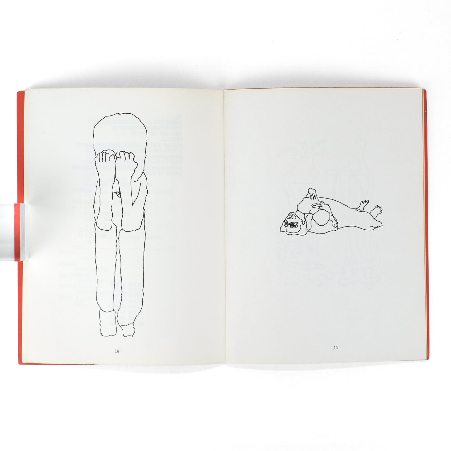 LONIDIER, Lynn