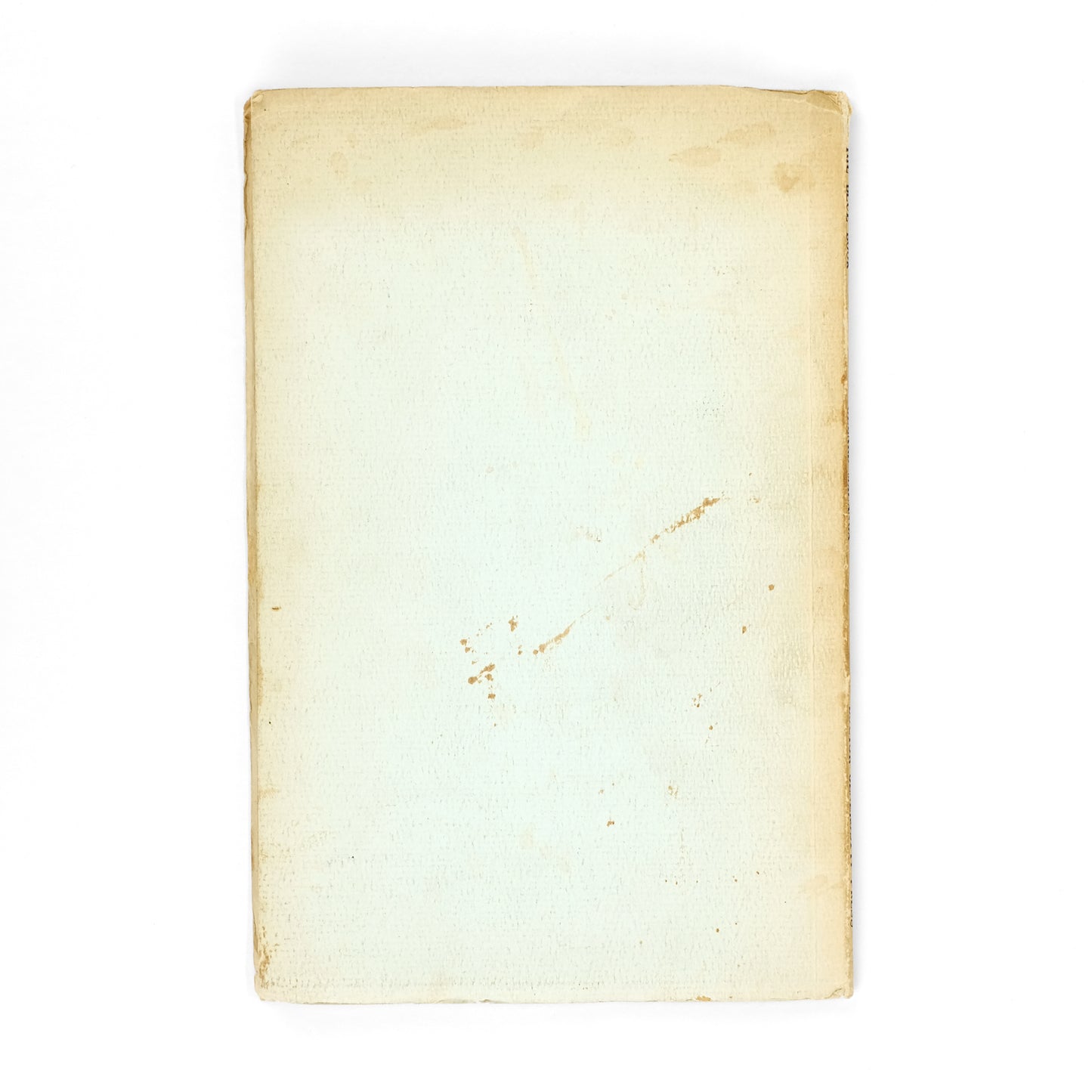 MALANGA, Gerard; Wren de Antonio, photos.