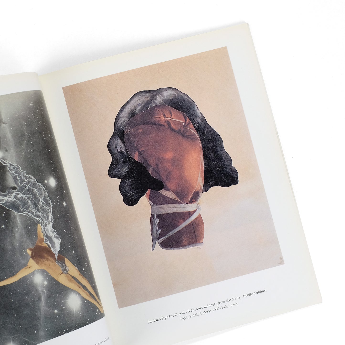 BIRGUS, Vladimir, and Pierre Bonhomme, curators