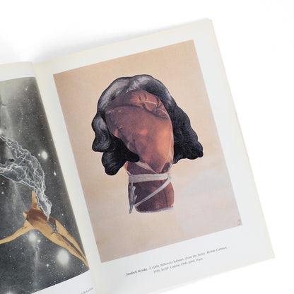 BIRGUS, Vladimir, and Pierre Bonhomme, curators