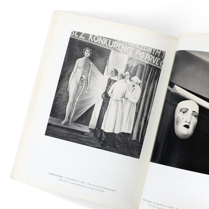 BIRGUS, Vladimir, and Pierre Bonhomme, curators