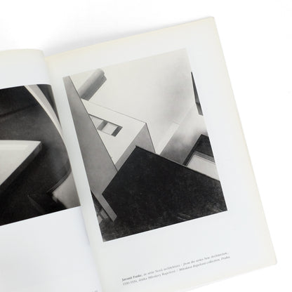 BIRGUS, Vladimir, and Pierre Bonhomme, curators