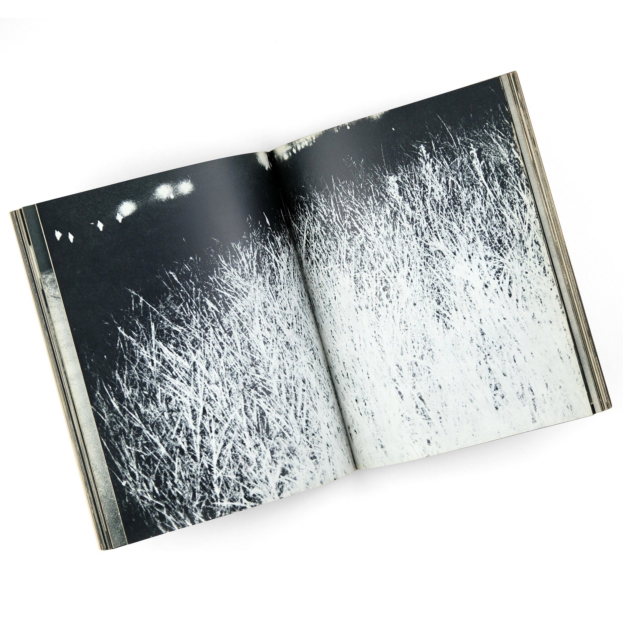 Farewell, Photography / Daido Moriyama / First Edition 1972