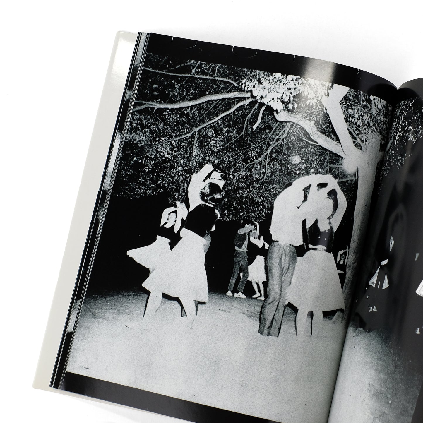 [MORIYAMA, Daido]