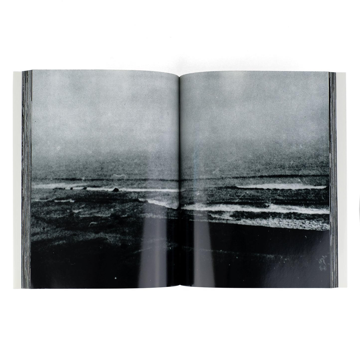 [MORIYAMA, Daido]
