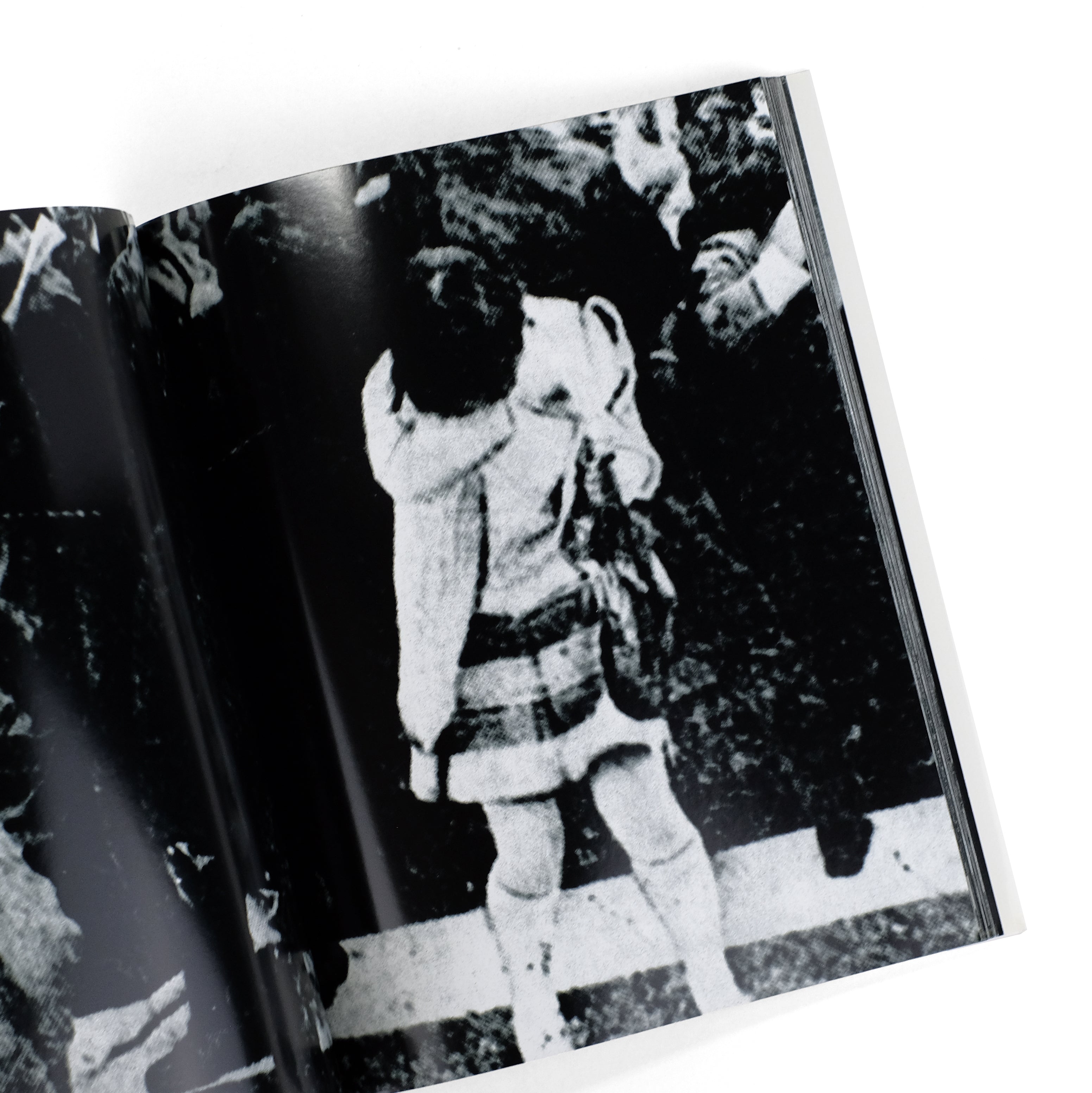 Farewell Photography / Daido Moriyama / 2006 Reprint Edition