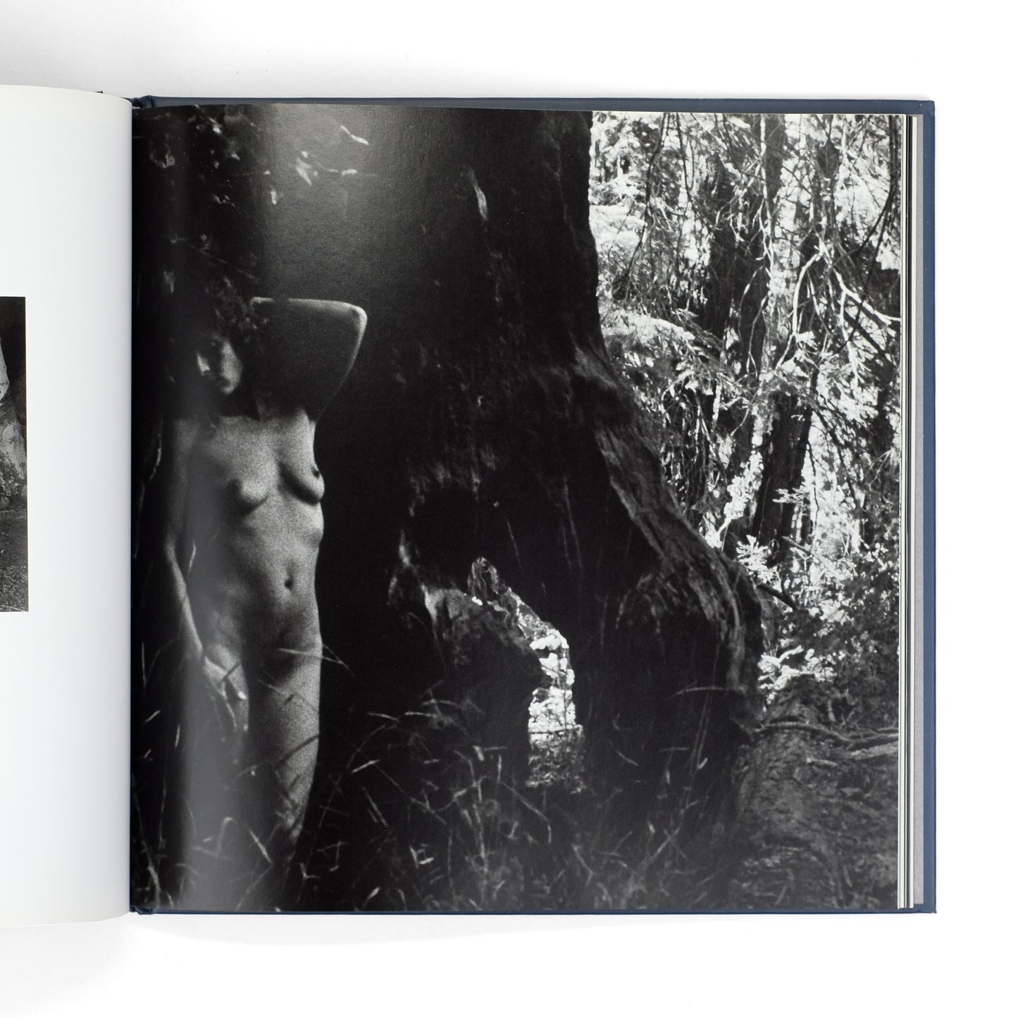 NIMOY, Leonard; Donald Kuspit, essay