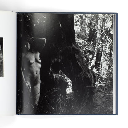 NIMOY, Leonard; Donald Kuspit, essay