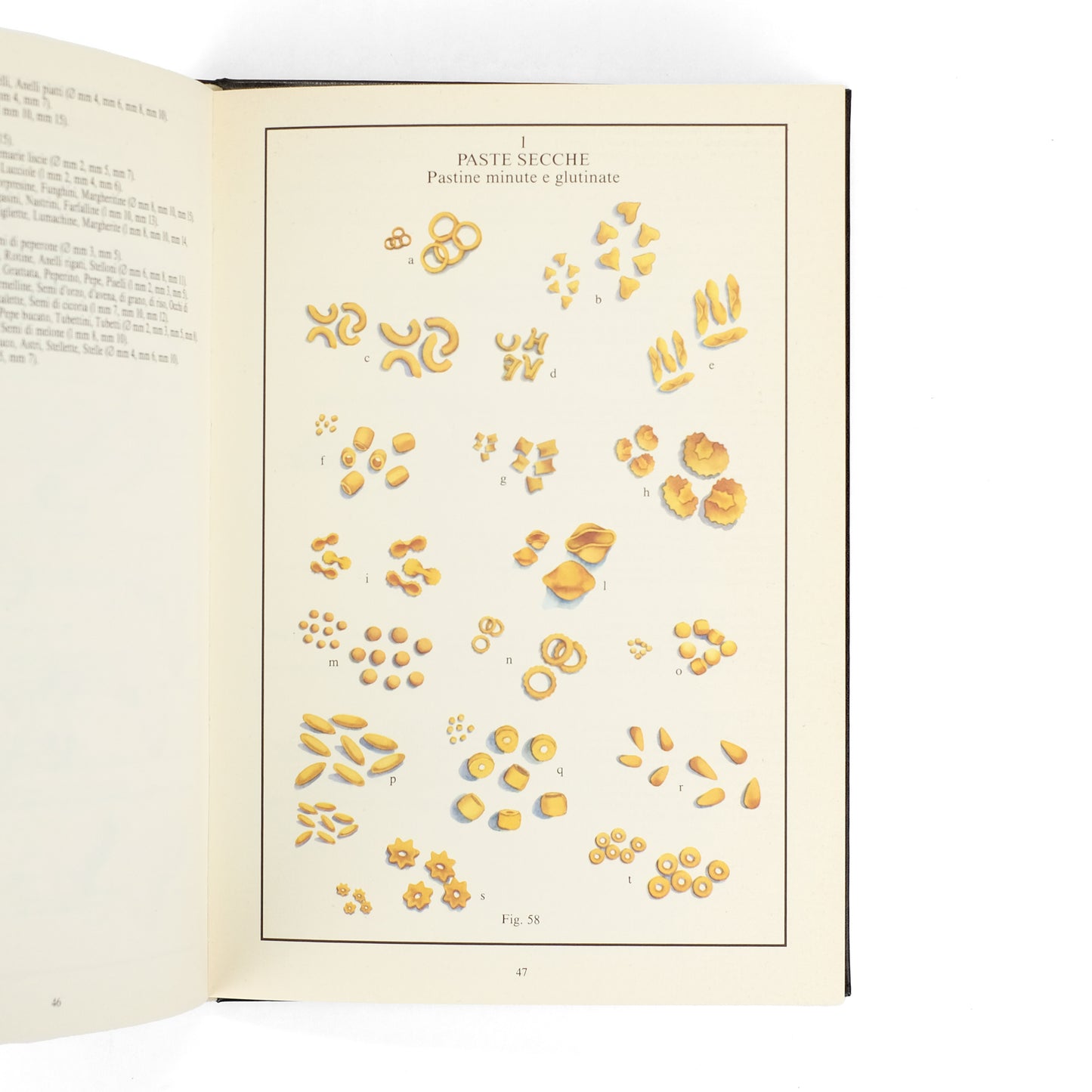 MEDAGLIANI, Eugenio, and Fernanda Gosetti