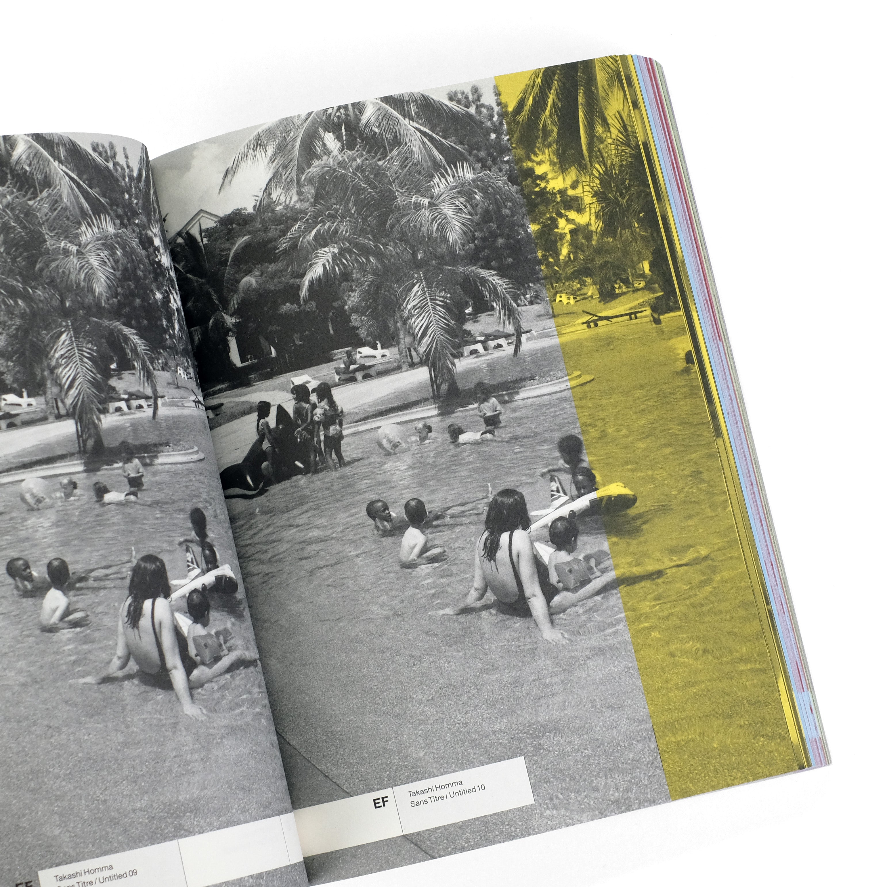 Elysian Fields / Purple Institute / 2000 Exhibition Catalog
