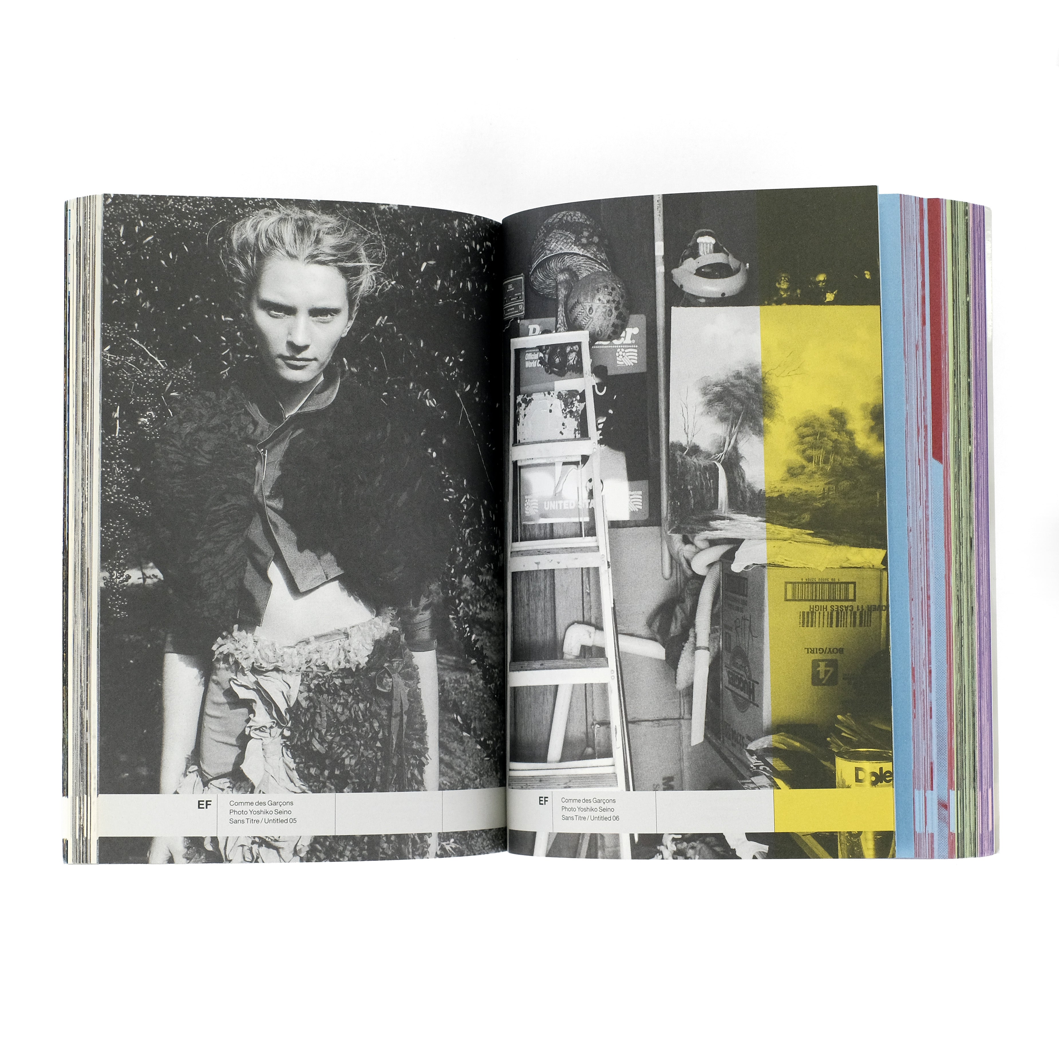 Elysian Fields / Purple Institute / 2000 Exhibition Catalog