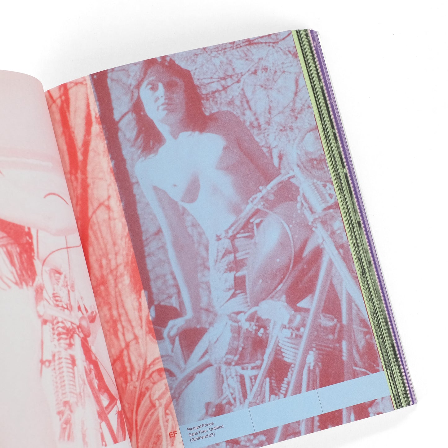 PURPLE INSTITUTE [Elein Fleiss and Olivier Zahm]
