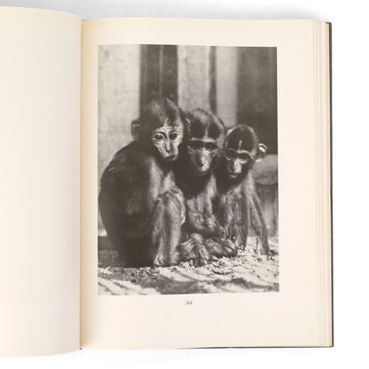 RENGER-PATZSCH, Albert; Carl Georg Heise, ed.