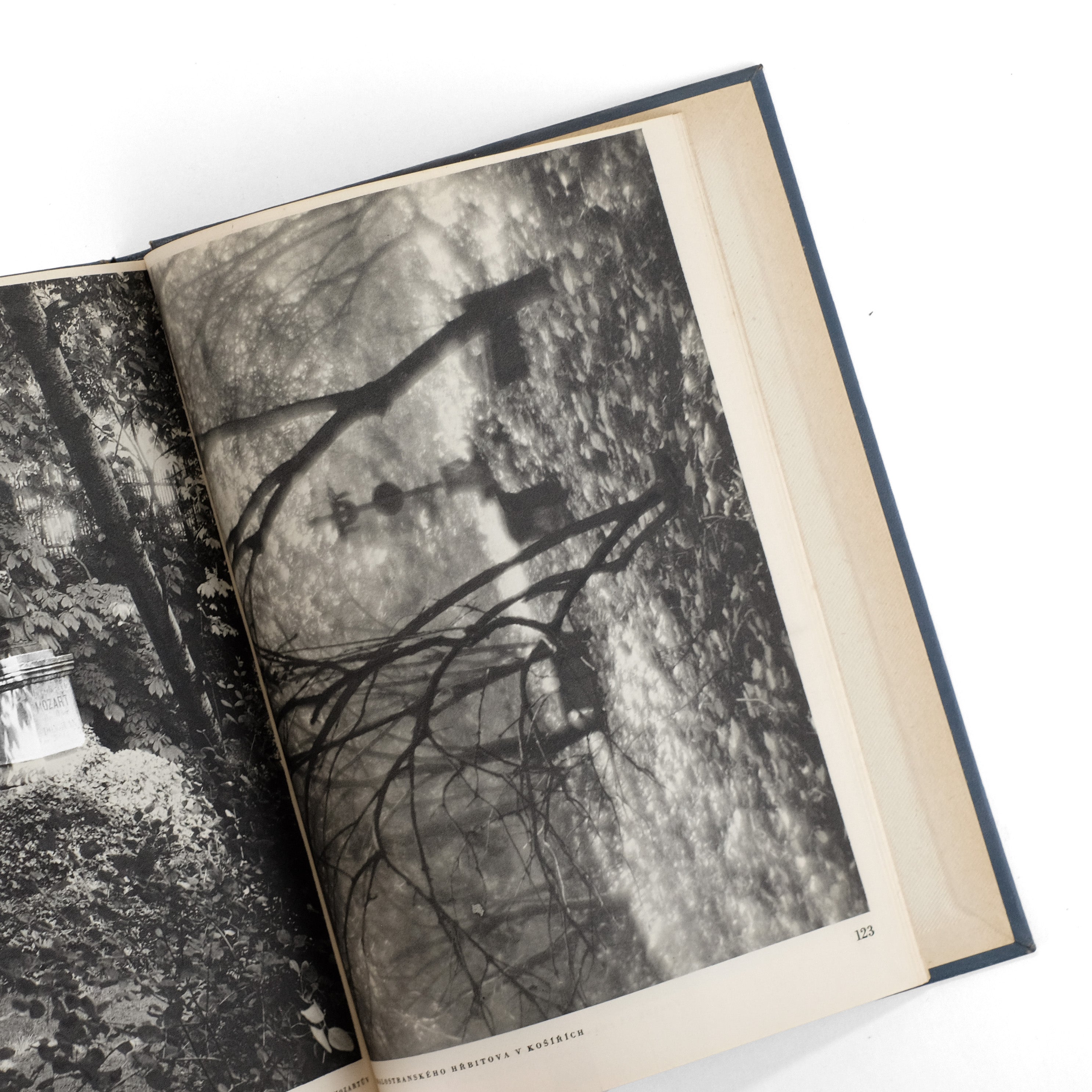 ヨセフ スデク写真集　Poet of Prague JOSEF SUDEK ヨゼフ・スデク 写真集 poet of prague - メルカリ
