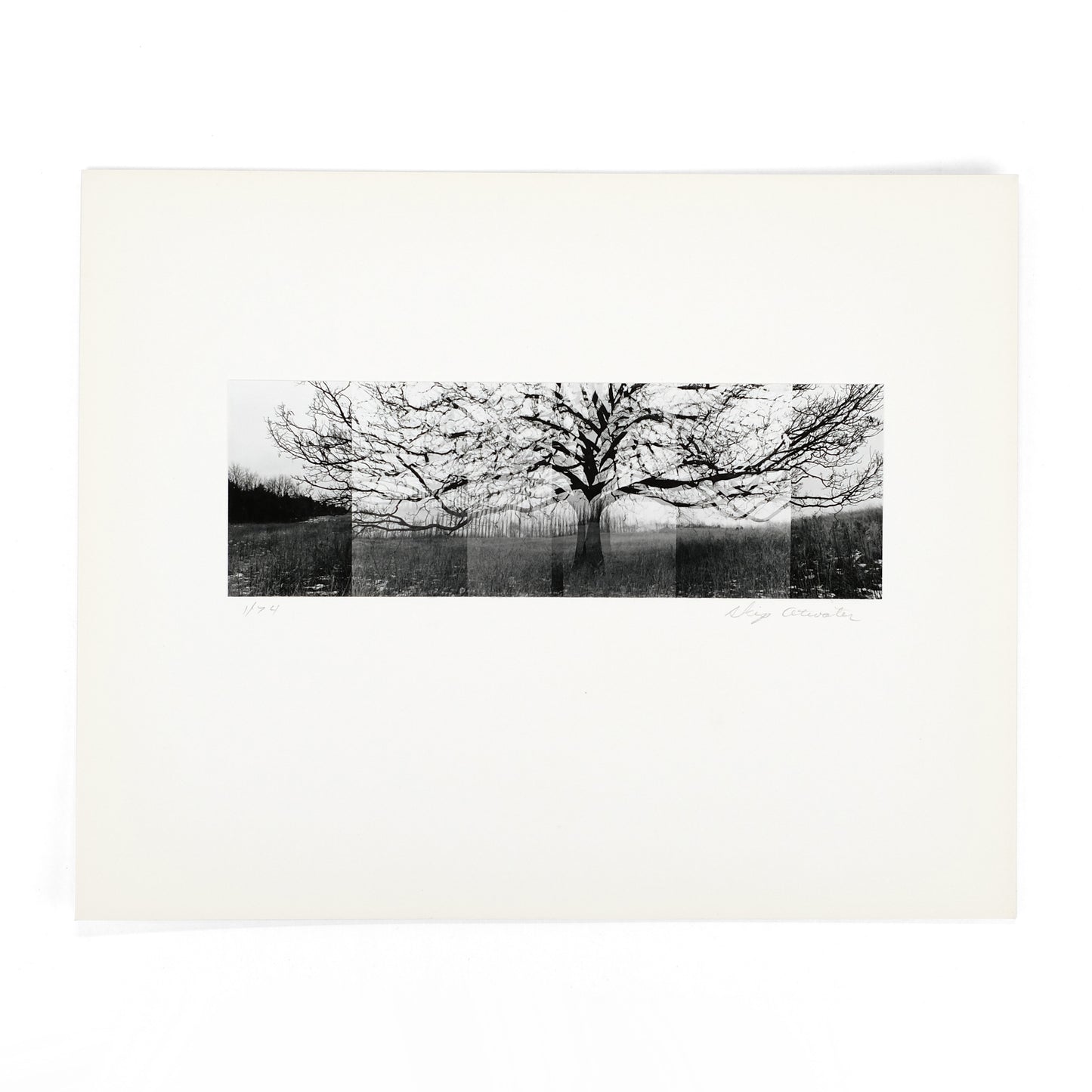 VISUAL STUDIES WORKSHOP